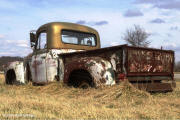 Rusted Relic ... International 