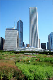 Chicago Millenium Park Fleurie Garden - Aon Tower - on McNees.org