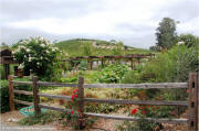 Benziger Family Winery Garden