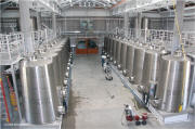 Cliff Lede Vineyards Wine Facility