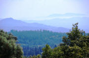 Mount Veeder view from Robert Craig Napa Valley Howell Mountaintop winery 