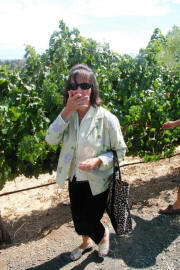 Robert Craig Harvest Party 09 - Vineyard Grape Sampling 