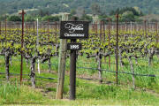 Trefethen Napa Valley Oak Knoll Estate Chardonnay