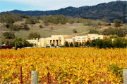 Darioush Winery & Vineyard in late autumn