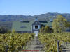 Corison Winery - St Helena