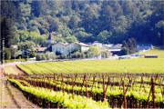 Chateau St Jean - Sonoma Valley