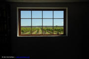Inniskillin Winery - Vineyard Window