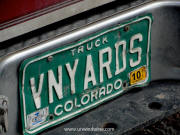 VINEYARDS Plate Colorado