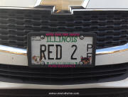Wine Plate - RED 2 - Illinois