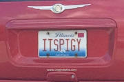 Wine Pl8 or not - ITSPIGY-Illinois